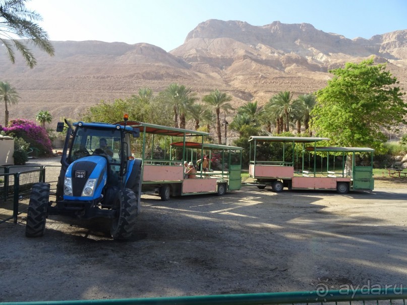 Шалом, Израиль! Часть 4. Мертвое море + СПА Эйн Геди.