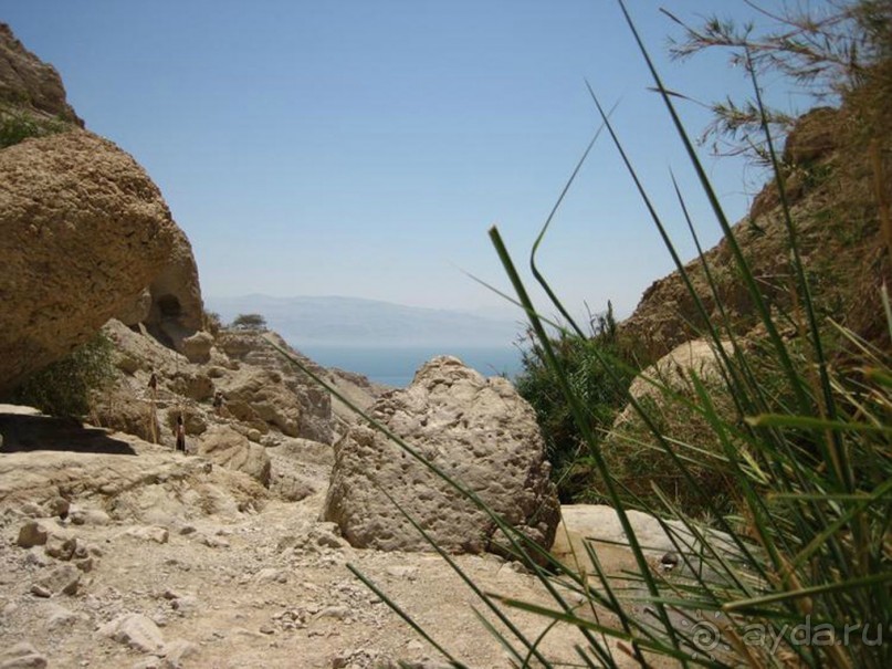 Альбом отзыва "Шалом, Израиль! Часть 4. Мертвое море + СПА Эйн Геди."