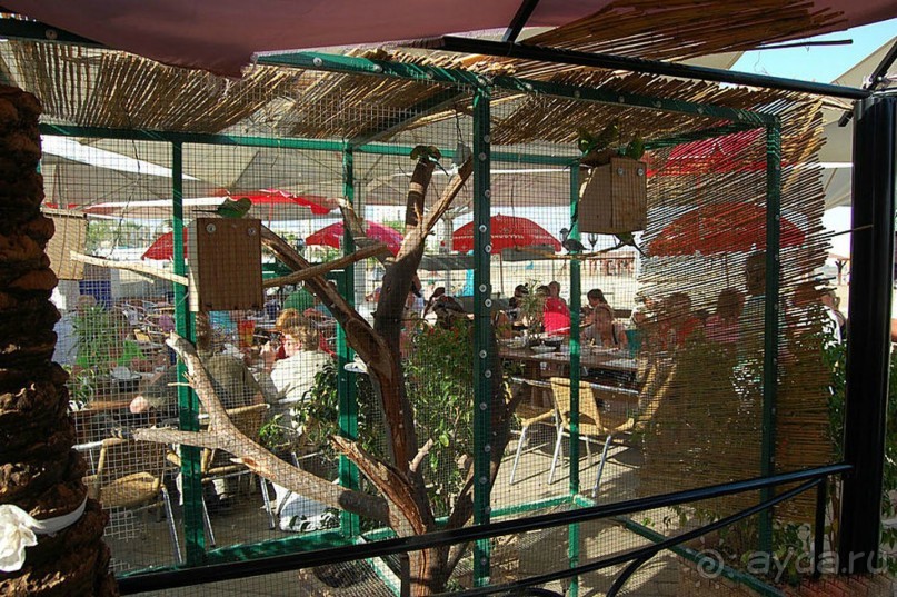 Шалом, Израиль! Часть 4. Мертвое море + СПА Эйн Геди.