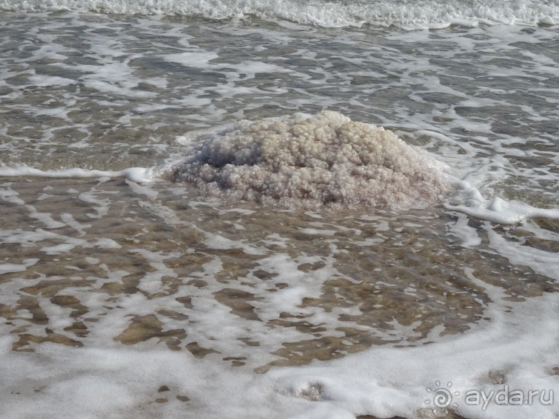 Шалом, Израиль! Часть 4. Мертвое море + СПА Эйн Геди.