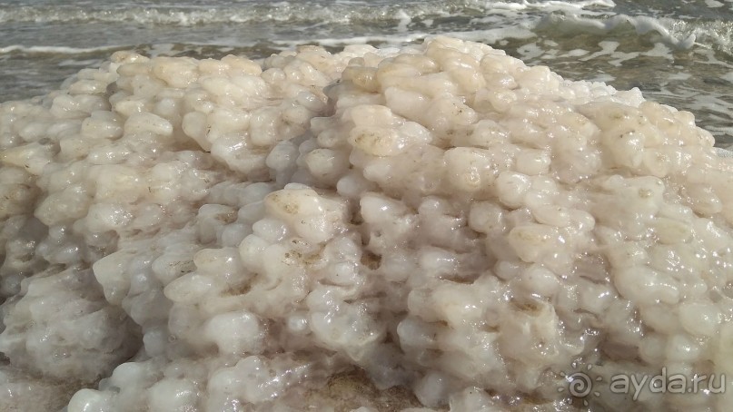 Шалом, Израиль! Часть 4. Мертвое море + СПА Эйн Геди.