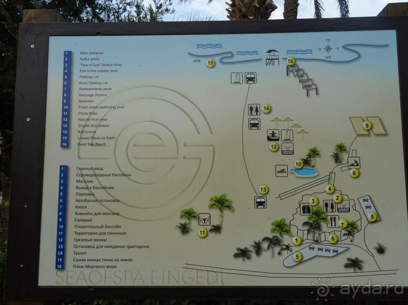 Шалом, Израиль! Часть 4. Мертвое море + СПА Эйн Геди.