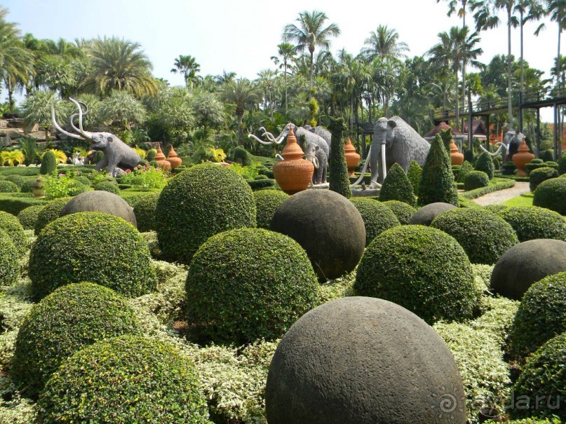 Ноябрь 2011 в Тайланде.