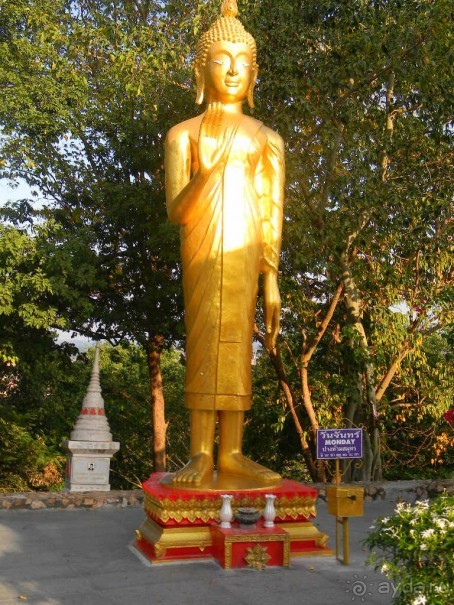 Ноябрь 2011 в Тайланде.