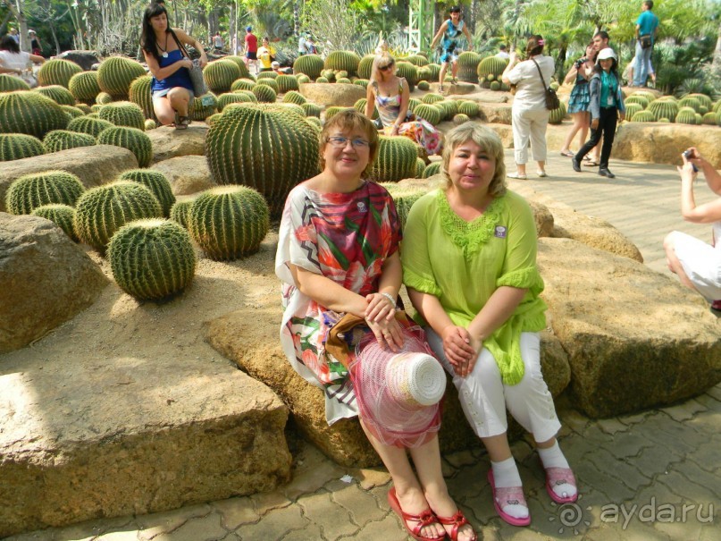 Ноябрь 2011 в Тайланде.