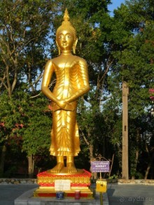 Ноябрь 2011 в Тайланде.