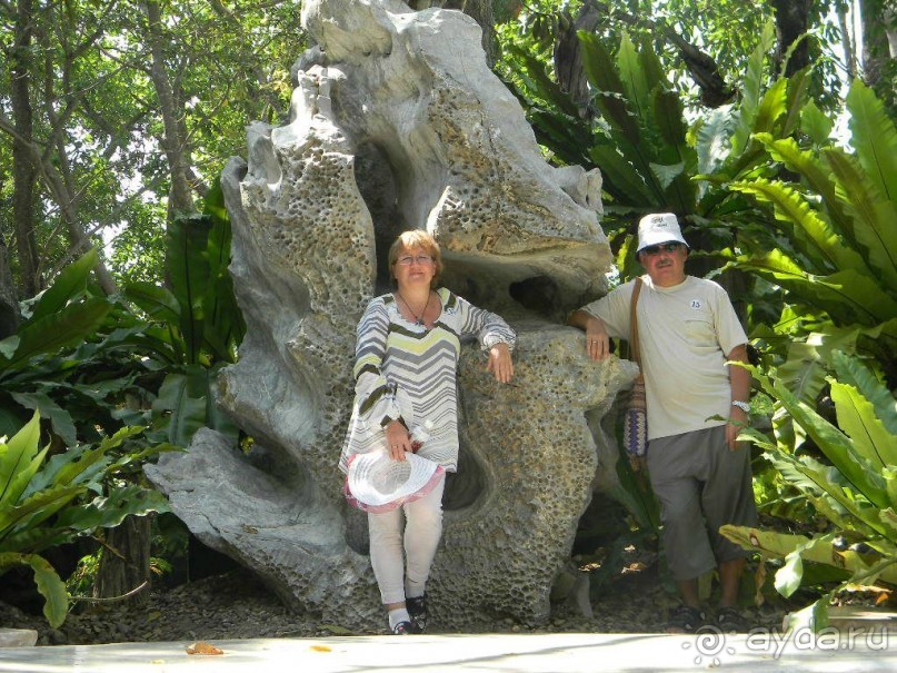 Ноябрь 2011 в Тайланде.
