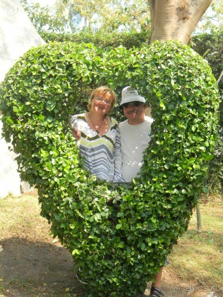 фото Mermaid's Beach Resort