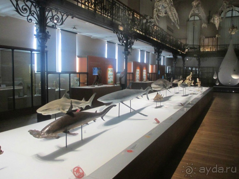 Монако - самое маленькое государство мира.