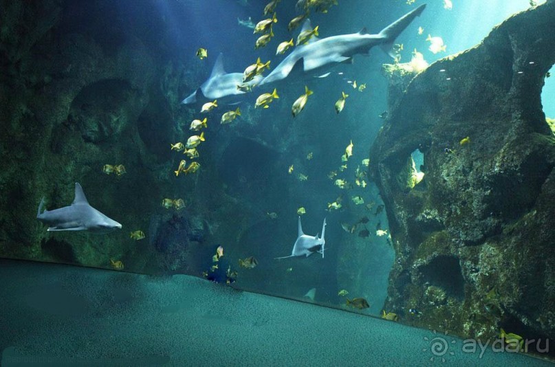 Монако - самое маленькое государство мира.