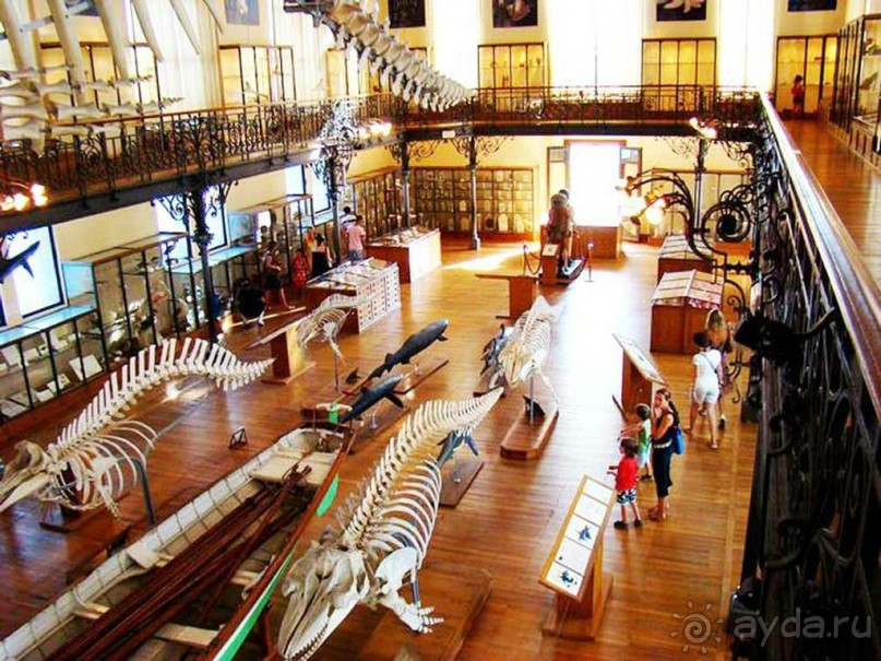 Монако - самое маленькое государство мира.