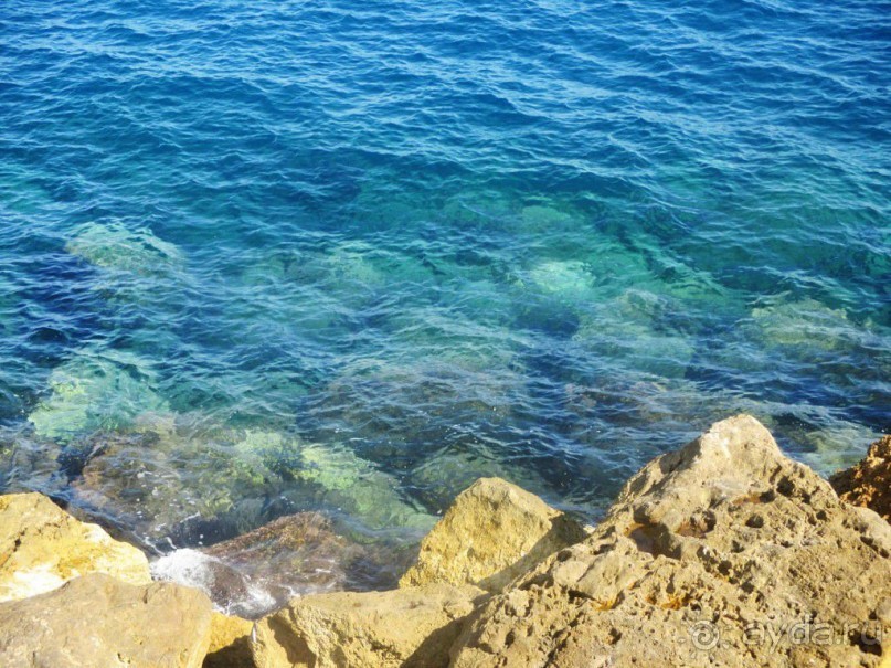 Монако - самое маленькое государство мира.