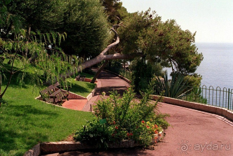 Монако - самое маленькое государство мира.