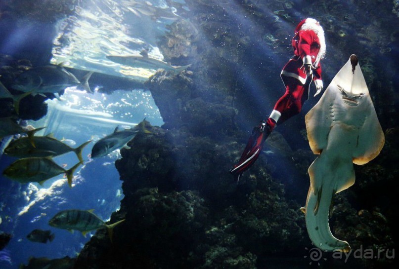 Монако - самое маленькое государство мира.