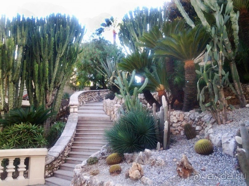 Монако - самое маленькое государство мира.