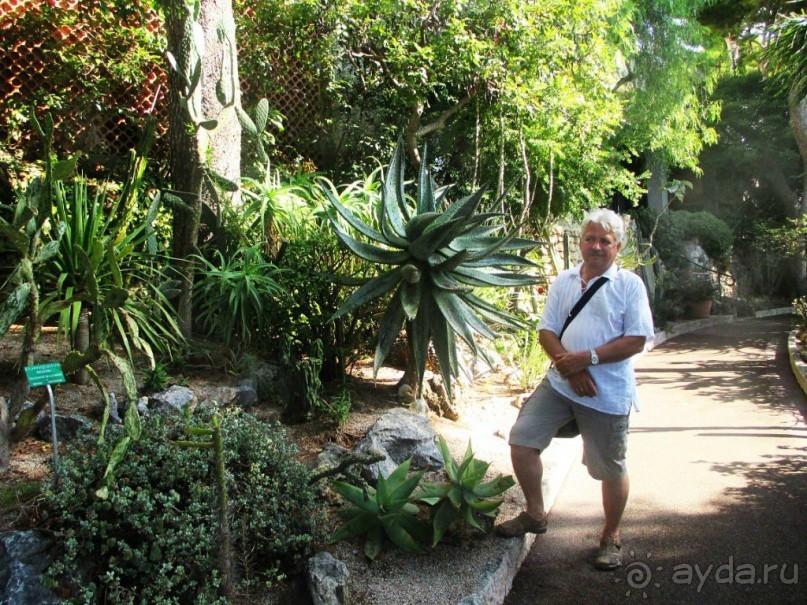 Монако - самое маленькое государство мира.