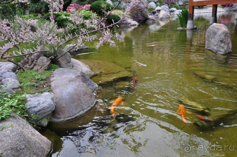 Монако - самое маленькое государство мира.