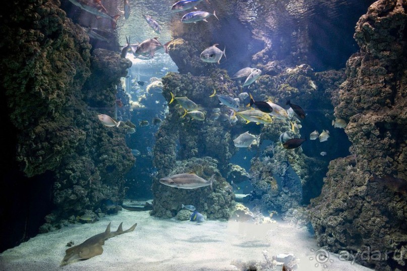 Монако - самое маленькое государство мира.