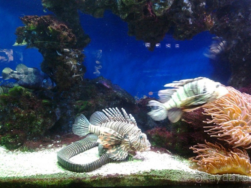 Монако - самое маленькое государство мира.