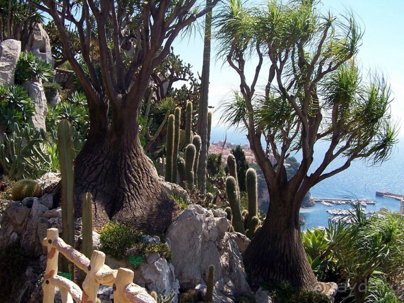 Монако - самое маленькое государство мира.