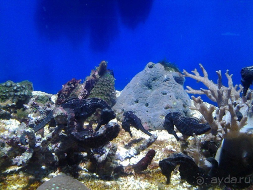 Монако - самое маленькое государство мира.