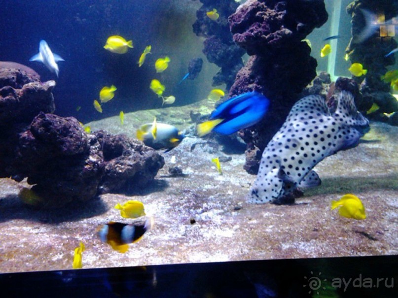 Монако - самое маленькое государство мира.