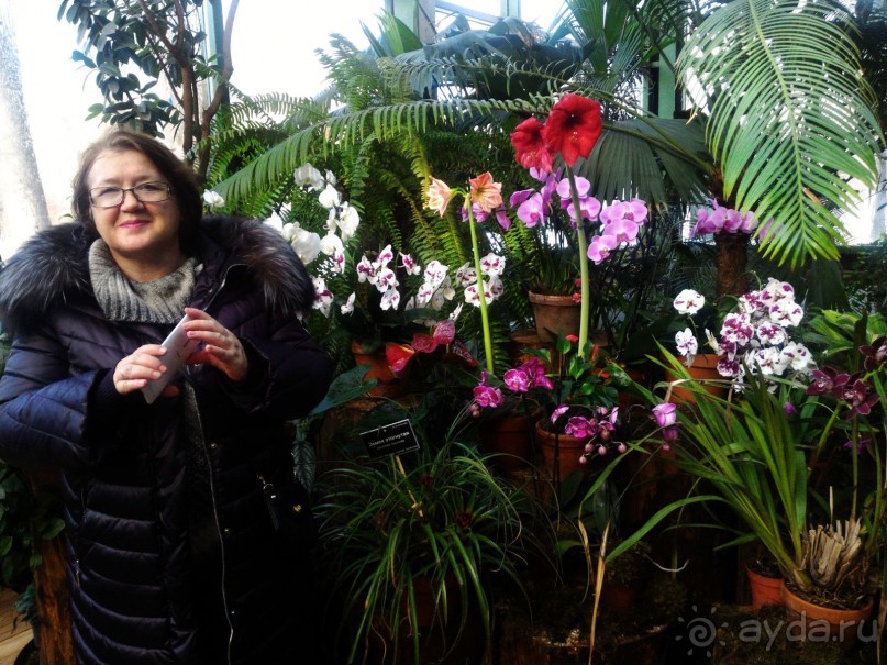 YII Зимний фестиваль в "Аптекарском огороде" "Тропическая зима".