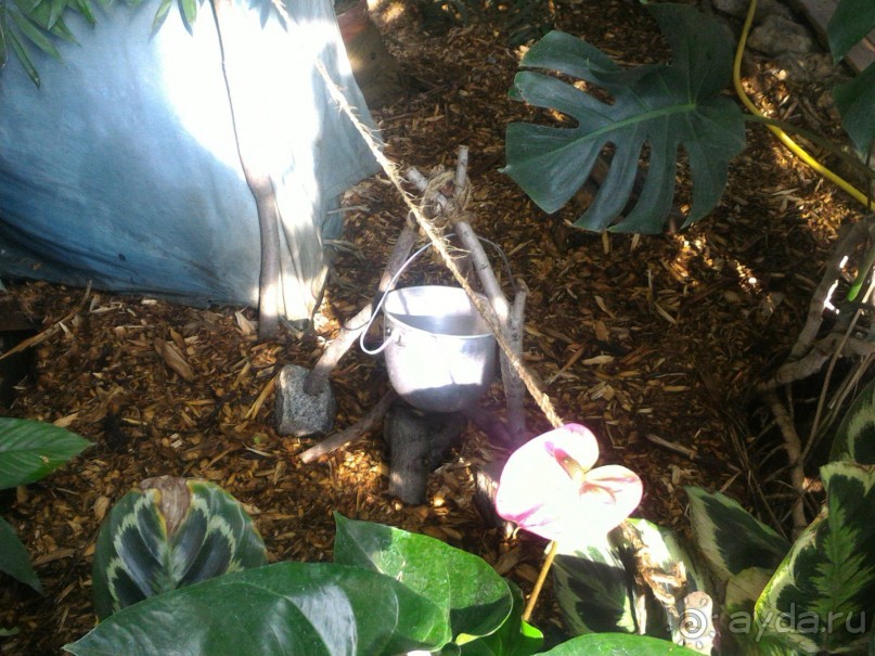 YII Зимний фестиваль в "Аптекарском огороде" "Тропическая зима".