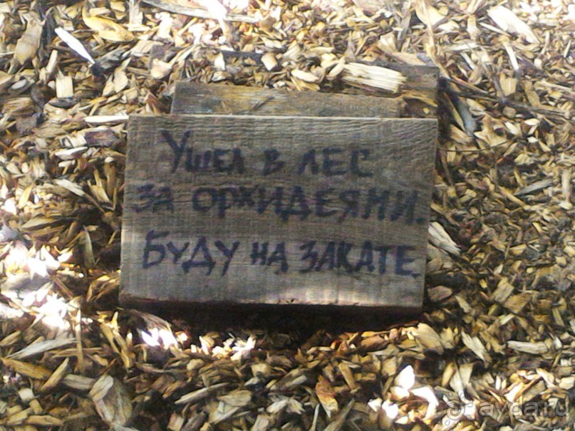 YII Зимний фестиваль в "Аптекарском огороде" "Тропическая зима".