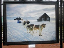 Альбом отзыва "Пешие прогулки по Москве под девизом  "Движение - жизнь!" Часть 1."