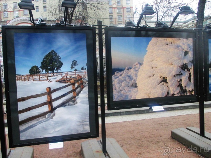 Пешие прогулки по Москве под девизом  "Движение - жизнь!" Часть 1.