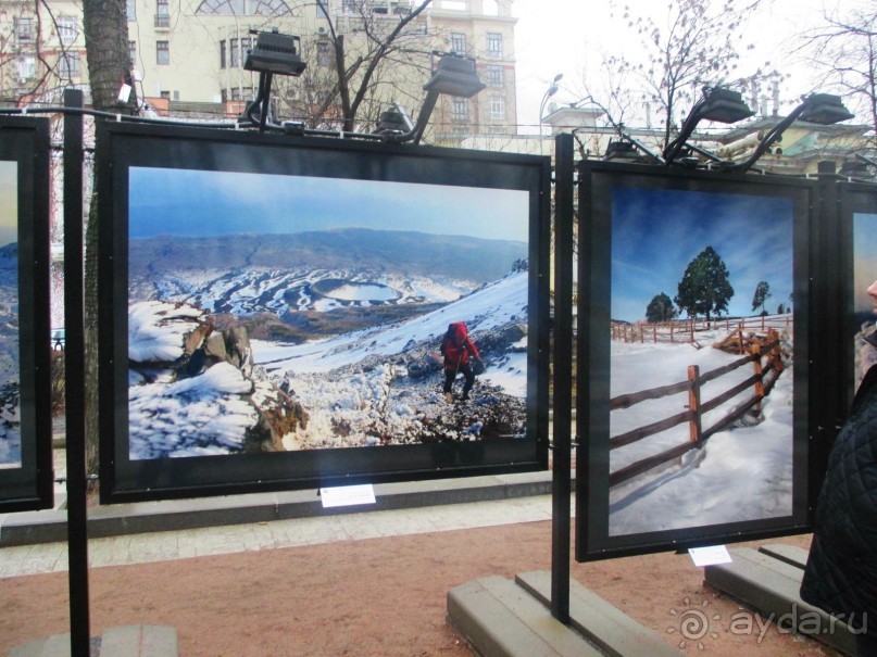 Пешие прогулки по Москве под девизом  "Движение - жизнь!" Часть 1.
