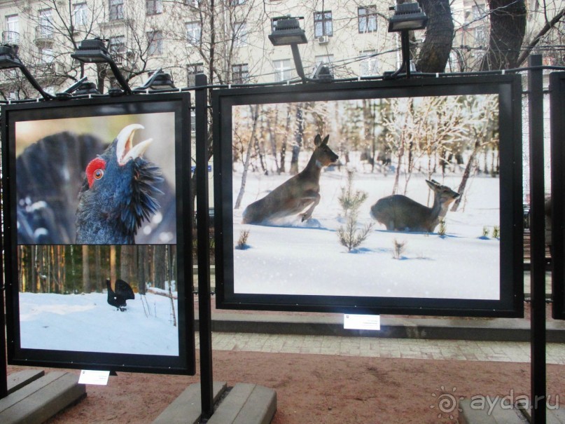 Пешие прогулки по Москве под девизом  "Движение - жизнь!" Часть 1.