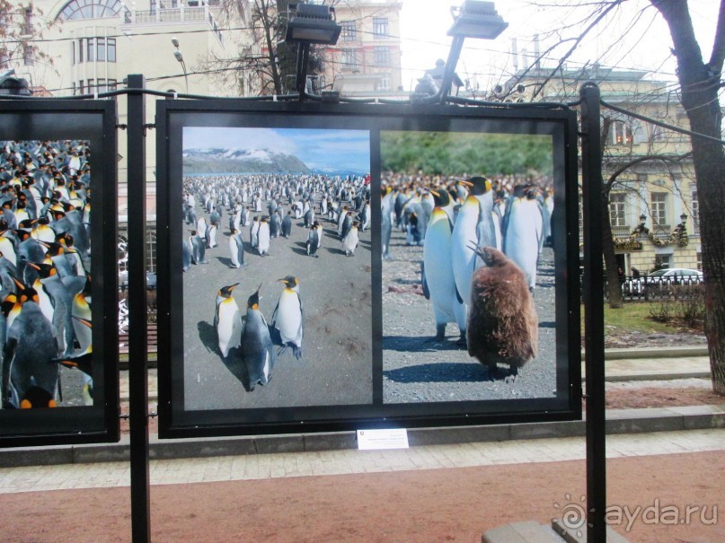 Пешие прогулки по Москве под девизом  "Движение - жизнь!" Часть 1.