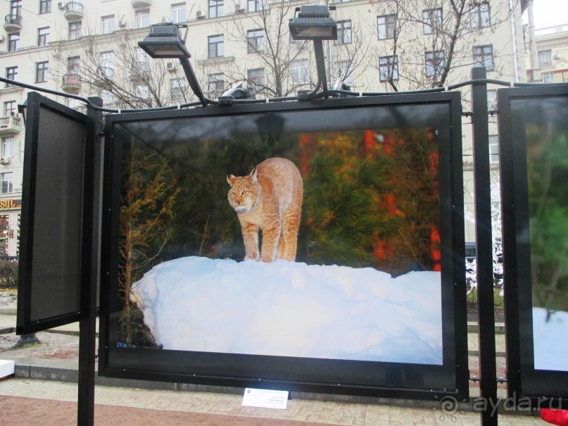 Пешие прогулки по Москве под девизом  "Движение - жизнь!" Часть 1.