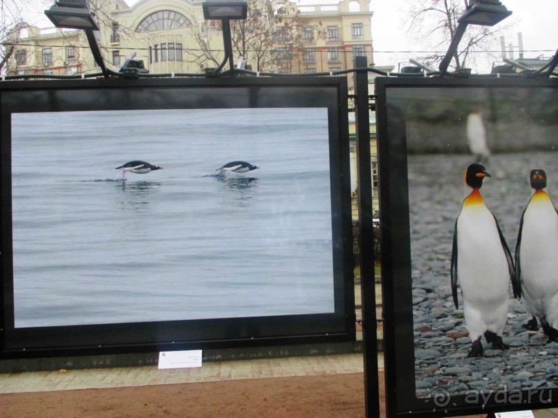 Пешие прогулки по Москве под девизом  "Движение - жизнь!" Часть 1.