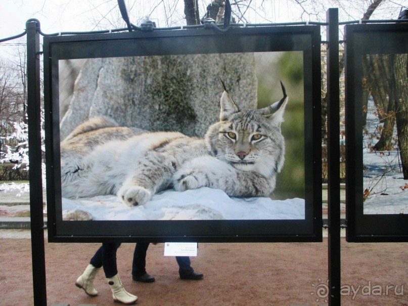 Пешие прогулки по Москве под девизом  "Движение - жизнь!" Часть 1.