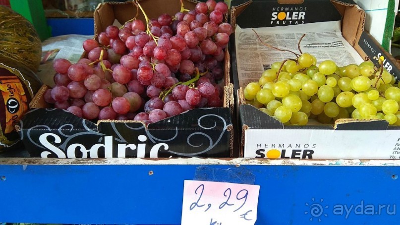 Самостоятельно по Португалии и Испании. Ч.4 - Испания: Таррагона.