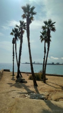 Самостоятельно по Португалии и Испании. Ч.4 - Испания: Таррагона.