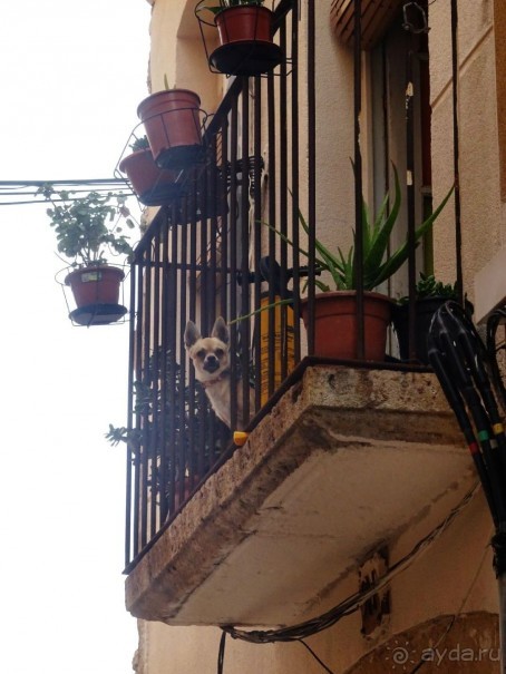 Самостоятельно по Португалии и Испании. Ч.4 - Испания: Таррагона.