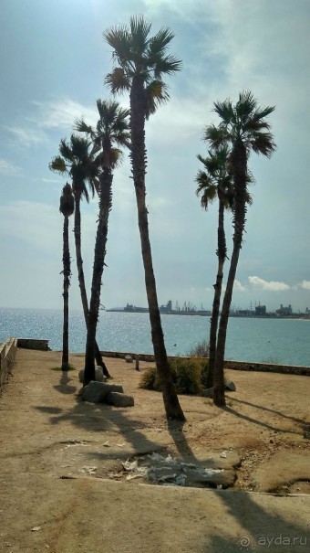 Самостоятельно по Португалии и Испании. Ч.4 - Испания: Таррагона.