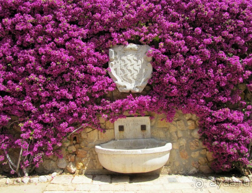 Самостоятельно по Португалии и Испании. Ч.4 - Испания: Таррагона.