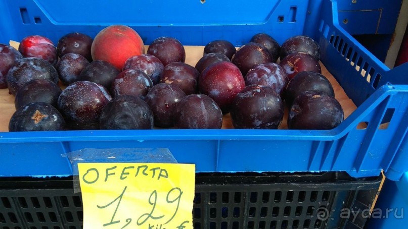 Самостоятельно по Португалии и Испании. Ч.4 - Испания: Таррагона.