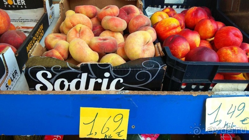 Самостоятельно по Португалии и Испании. Ч.4 - Испания: Таррагона.