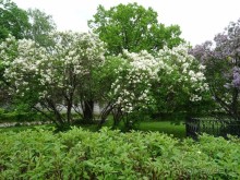 Святыня православия - Новодевичий монастырь в Москве.