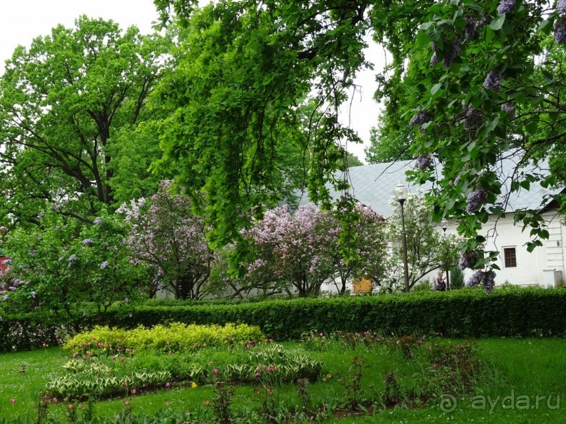 Святыня православия - Новодевичий монастырь в Москве.