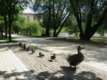 Святыня православия - Новодевичий монастырь в Москве.