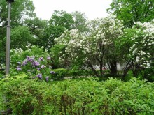 Святыня православия - Новодевичий монастырь в Москве.