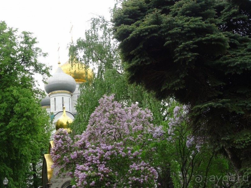 Святыня православия - Новодевичий монастырь в Москве.