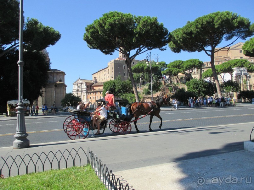 Самостоятельно по Италии. (Впервые без тура). Рим-Ватикан-Флоренция-Пиза-Римини-Венеция-Милан.